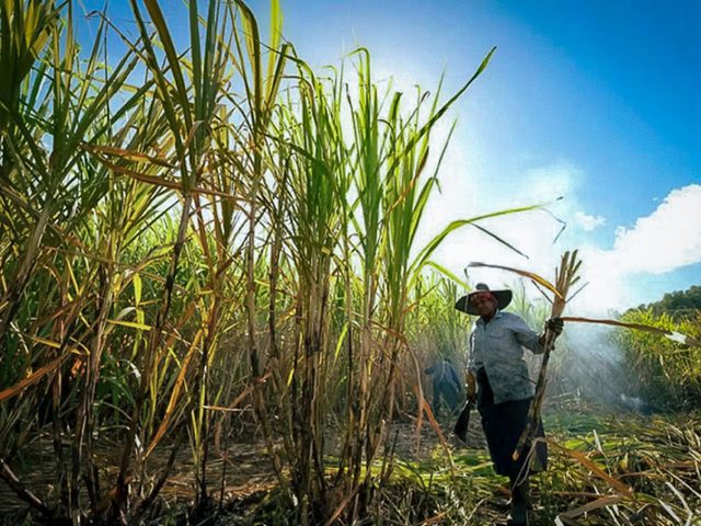 Automatización industrial para el sector azúcar y etanol en Ecuador